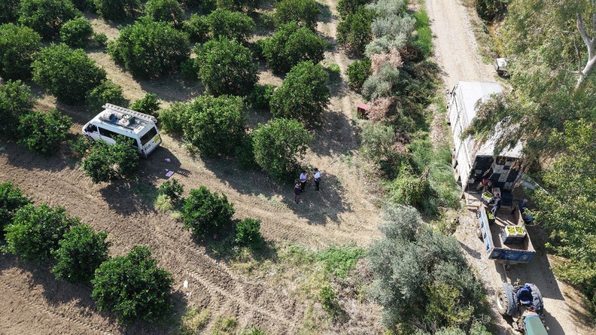 Adana'da yetiştirilen mandalina Türkiye'nin dört bir yanına gidiyor: Fiyatı sadece 8 TL 3 adanada yetistirilen mandalina turkiyenin dort bir yanina gidiyor fiyati sadece 8 tl 2 RSPdKzDG