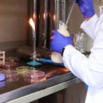 Gıdanın bozulduğunu renkle bildiren çalışma tescil aldı 6 gidanin-bozuldugunu-renkle-bildiren-calisma-tescil-aldi-ke2HxEeU.jpg