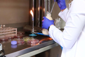 Gıdanın bozulduğunu renkle bildiren çalışma tescil aldı 1 gidanin-bozuldugunu-renkle-bildiren-calisma-tescil-aldi-ke2HxEeU.jpg