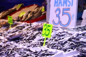 hamsi-bollugu-geldi-kilo-fiyati-dip-yapti-35-tlye-kadar-dustu-UaMgiT7J.jpg