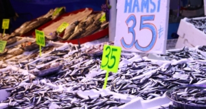 hamsi-bollugu-geldi-kilo-fiyati-dip-yapti-35-tlye-kadar-dustu-UaMgiT7J.jpg