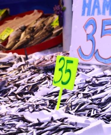 hamsi-bollugu-geldi-kilo-fiyati-dip-yapti-35-tlye-kadar-dustu-UaMgiT7J.jpg