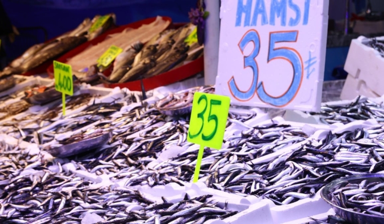 hamsi-bollugu-geldi-kilo-fiyati-dip-yapti-35-tlye-kadar-dustu-UaMgiT7J.jpg