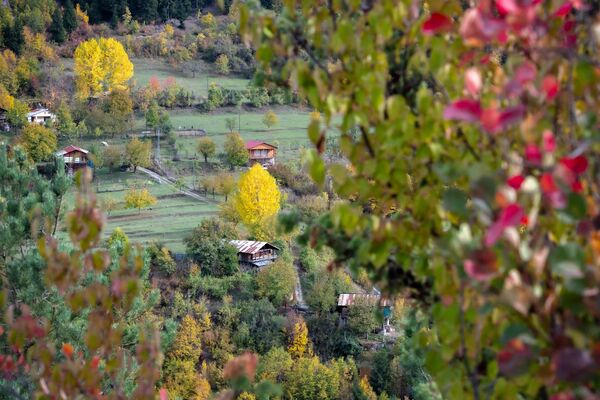 Karadeniz yaylaları sonbahar renklerine büründü: Yeşil, kızıl ve altın tonlarıyla buluştu 2 karadeniz yaylalari sonbahar renklerine burundu yesil kizil ve altin tonlariyla bulustu 1 pa1N2iLN