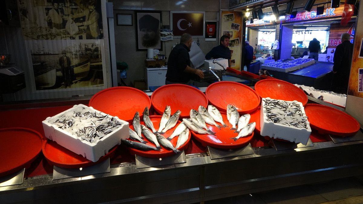 Trabzon'da palamut sezonu başlamadan bitti 1 trabzonda palamut sezonu baslamadan bitti 0 GSiYqrlS