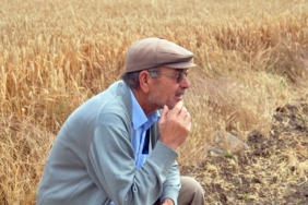 "Ucuz finansmana ulaşamayan tarımda ya verim düşecek ya maliyet artacak" 2 ucuz-finansmana-ulasamayan-tarimda-ya-verim-dusecek-ya-maliyet-artacak-aAaYgTwm.jpg
