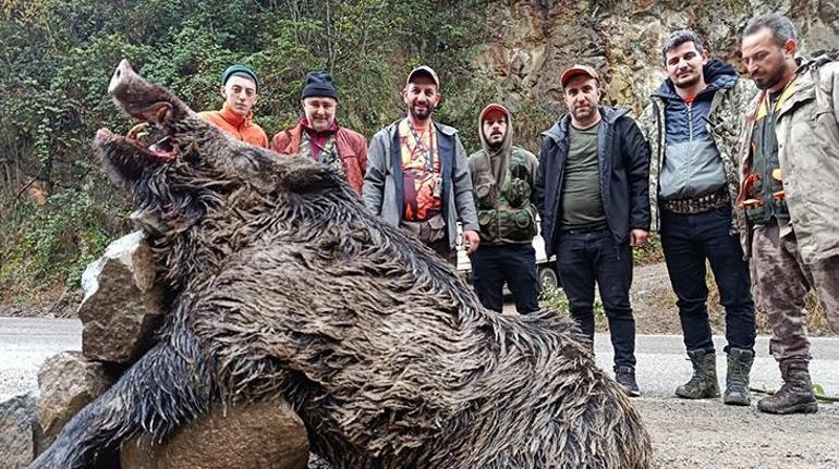 Dev avlandı! 7 avcı peşindeydi, Trabzon'da öldürüldü 4 dev avlandi 7 avci pesindeydi trabzonda olduruldu 0 t1kOqfPV