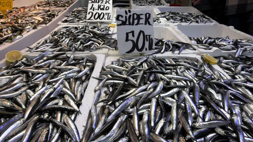 fiyati dusunce ilgi artti istavrit tezgahta yerini ona birakti 0 5Q3GFe2T