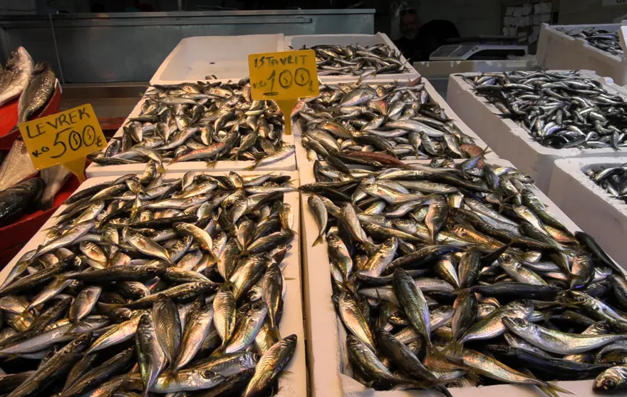 fiyati dusunce ilgi artti istavrit tezgahta yerini ona birakti 2 3fmSInf6