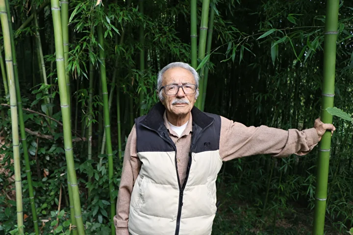 Hobi olarak başladı 500 bin TL kazandı: Memleketinde bambu yetiştiriyor 2 hobi olarak basladi 500 bin tl kazandi memleketinde bambu yetistiriyor 1 22PqXHvf