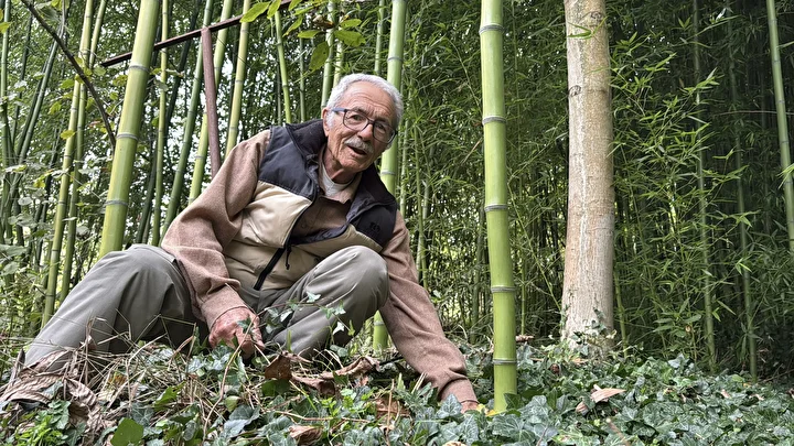 Hobi olarak başladı 500 bin TL kazandı: Memleketinde bambu yetiştiriyor 6 hobi olarak basladi 500 bin tl kazandi memleketinde bambu yetistiriyor 2
