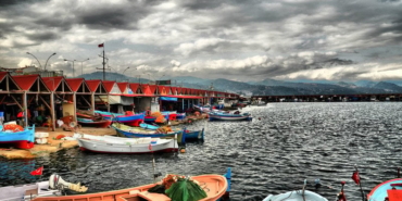 jYYjzrqdpddkBaS-800x450-noPad