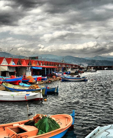 jYYjzrqdpddkBaS-800x450-noPad