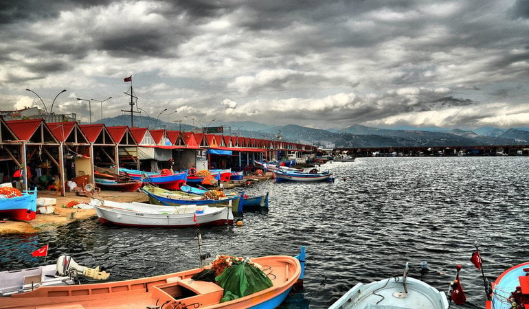 jYYjzrqdpddkBaS-800x450-noPad