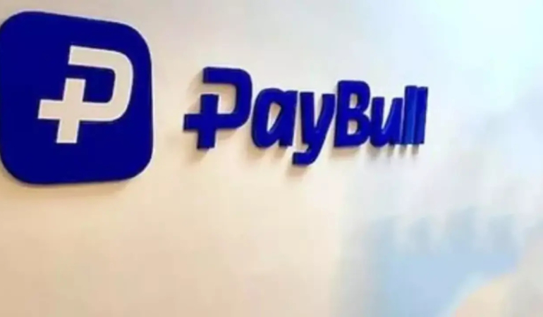 paybull-sorusturmasi-kapsaminda-sirkete-el-konuldu-djgm8TDG.jpg