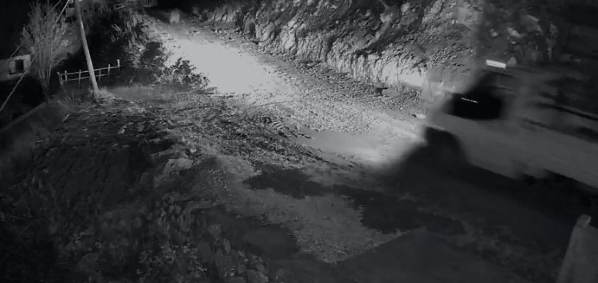 Trabzon'da mahalleliyi canından bezdiren ayı 5 trabzonda mahalleliyi canindan bezdiren ayi 1 XOICtmyM