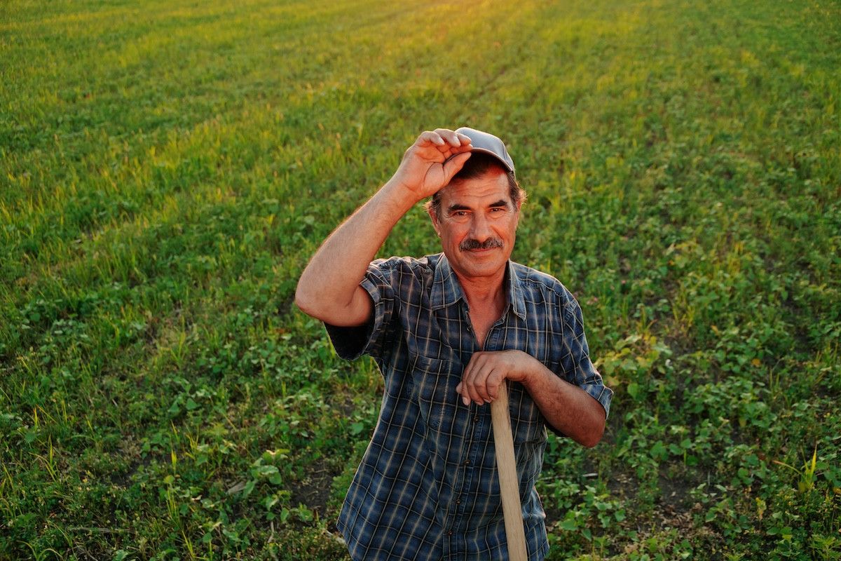 Türkiye'nin 42 lezzeti AB'de damakları şenlendiriyor 8 turkiyenin 42 lezzeti abde damaklari senlendiriyor 4 BMdMWsUI