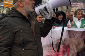 Türkiye'nin kara sınırlarının yüzde 44'üne güvenlik duvarı örüldü 1 thumbnail