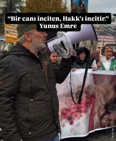 Ekran Resmi 2025-12-16 11.12.23