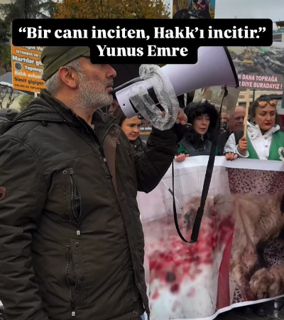 Ekran Resmi 2025-12-16 11.12.23