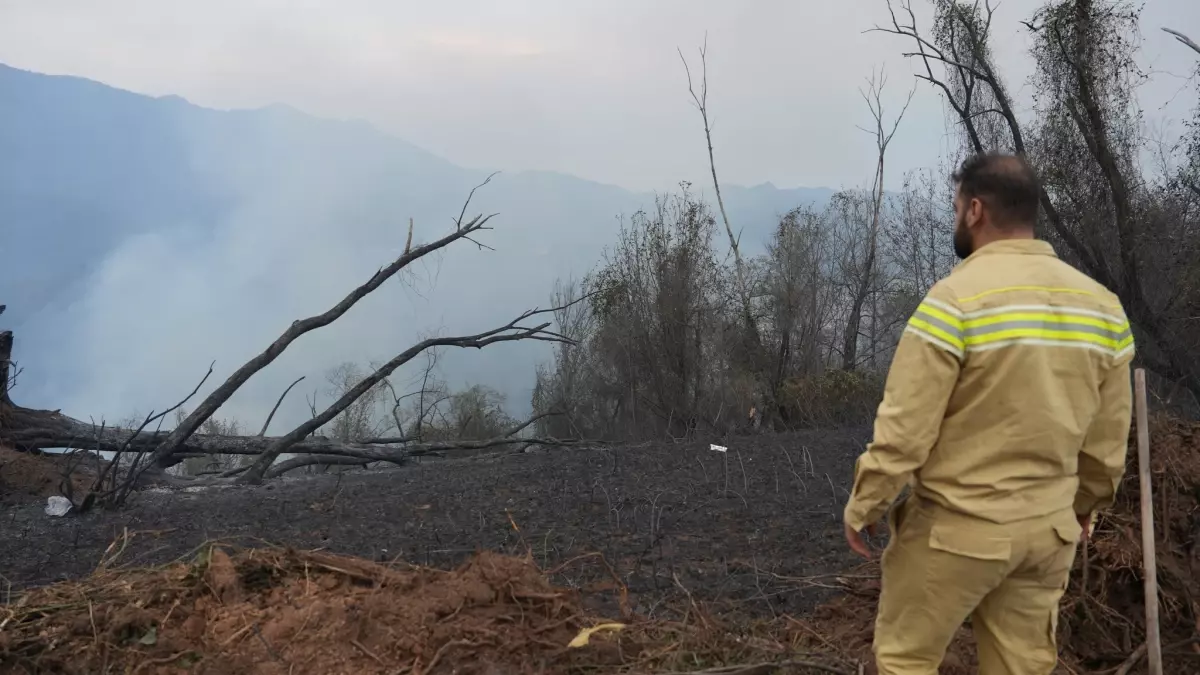 artvinde-ortu-yangini-kontrol-altina-alindi-gxZmjS1F.jpg