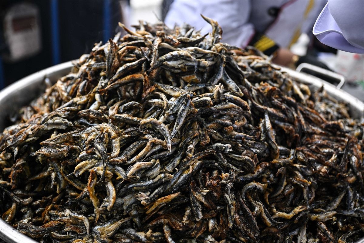 eyupsultanda hamsi festivali coskusu vatandaslara 1 ton hamsi dagitildi 10 GdI3Gq6G