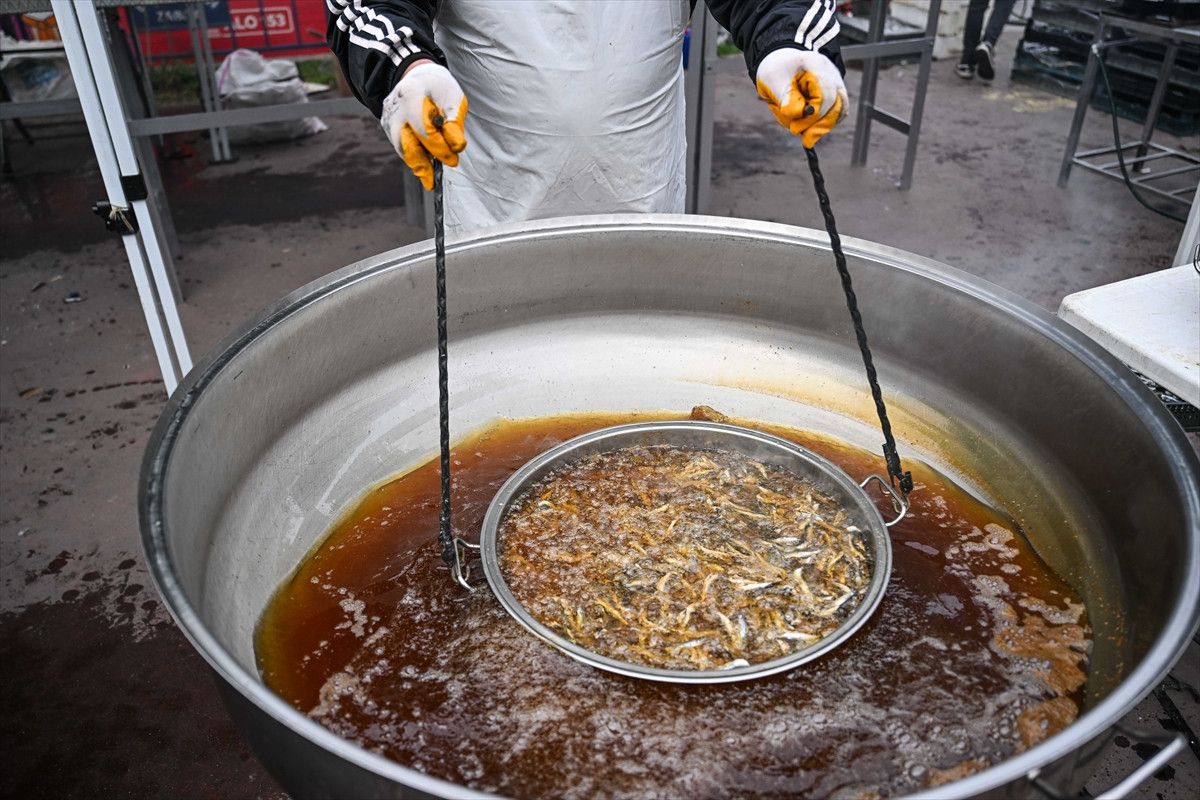 eyupsultanda hamsi festivali coskusu vatandaslara 1 ton hamsi dagitildi 7 vTKL2WUz