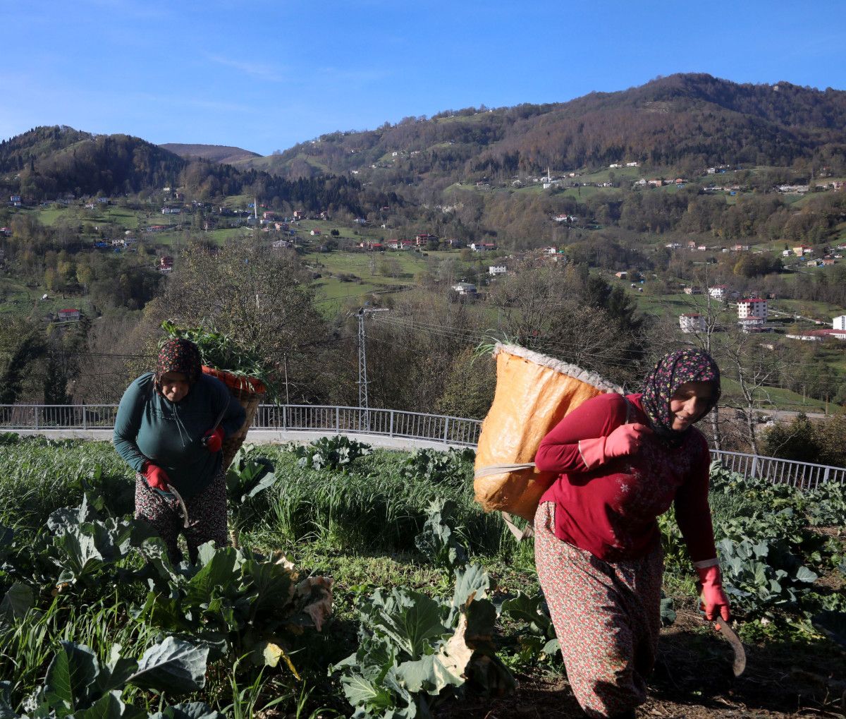 Trabzon'da kadınlar sabah ot biçiyor, akşam maça gidiyor 7 trabzonda kadinlar sabah ot biciyor aksam maca gidiyor 3 MUmgdAuD