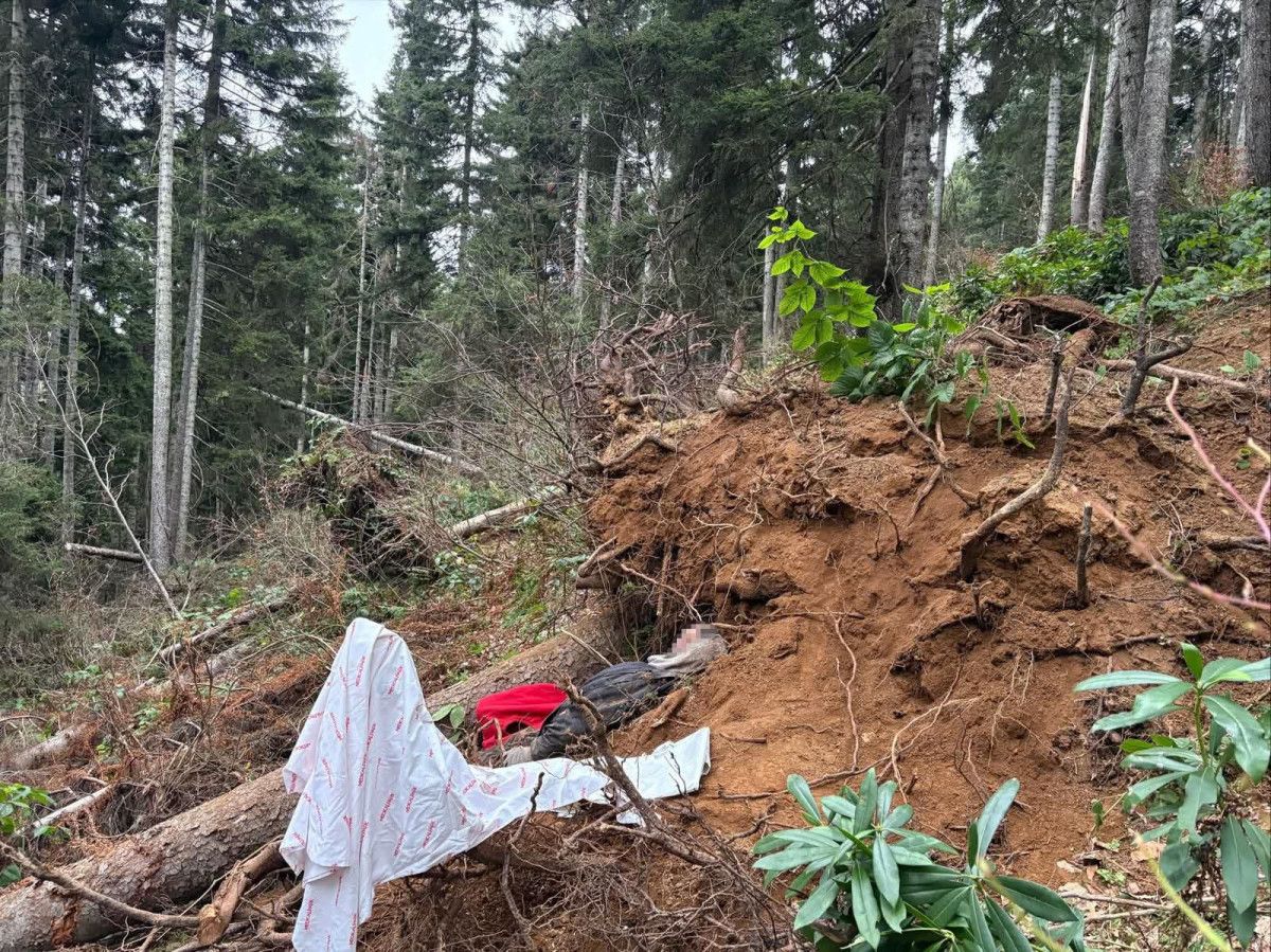 Trabzon'da kestiği ağacın altında kalan kişi yaşamını yitirdi 4 trabzonda kestigi agacin altinda kalan kisi yasamini yitirdi 0 ugYYr71n
