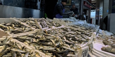 trabzonda-balikci-tezgahlarinda-hamsi-ve-istavrit-ilgi-goruyor-6PxdynWX.jpg