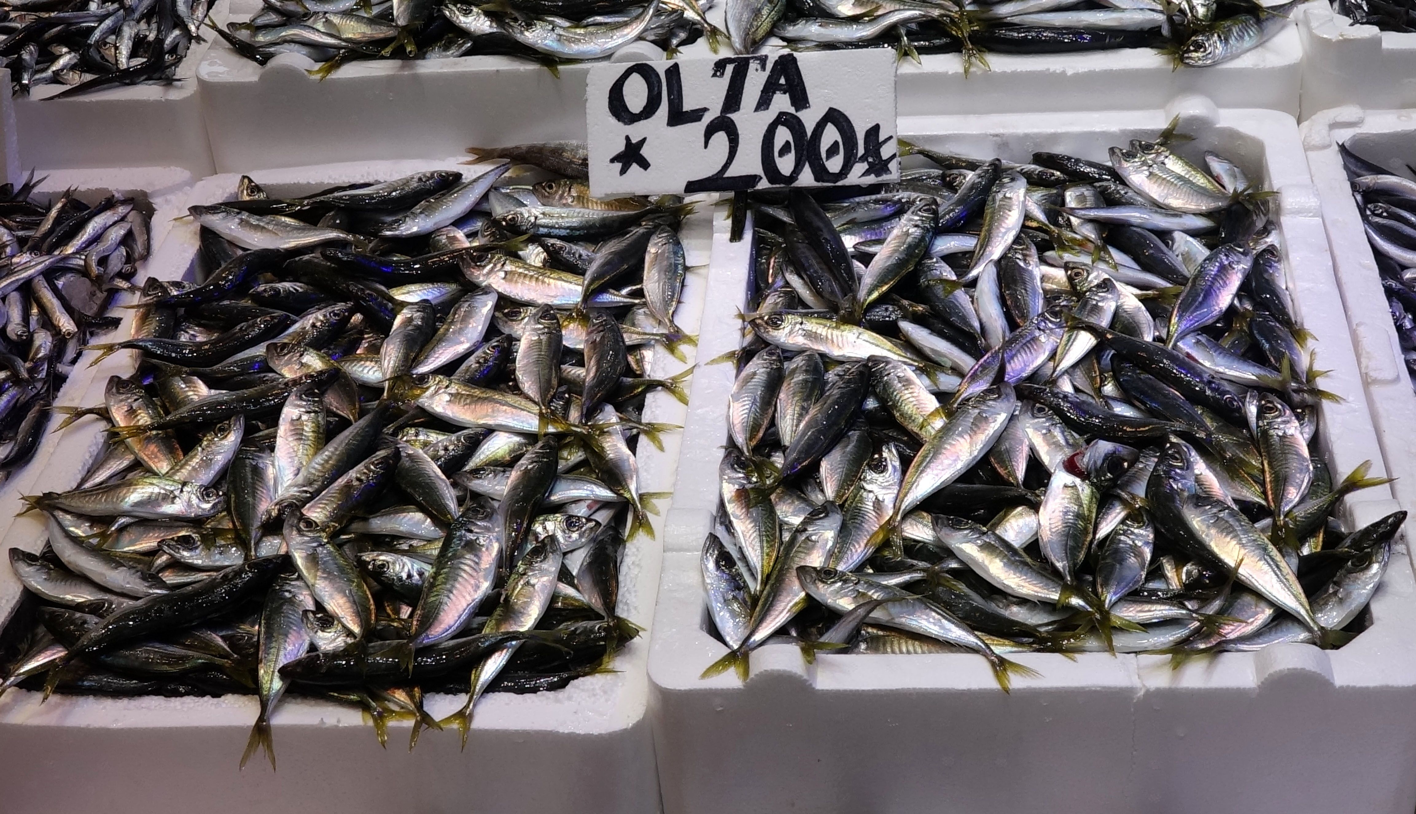 hamsinin fiyati artinca vatandasin tercihi degisti 0 QWP26f82