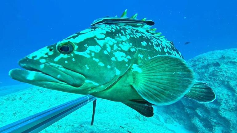karadenizde sessiz katil alarmi kilometrelerce uzanan hayalet aglar icin harekete gecildi 5