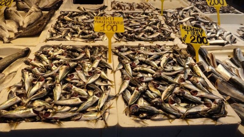 trabzonda ramazan baliga ilgiyi azaltti 5 YLJEqV57