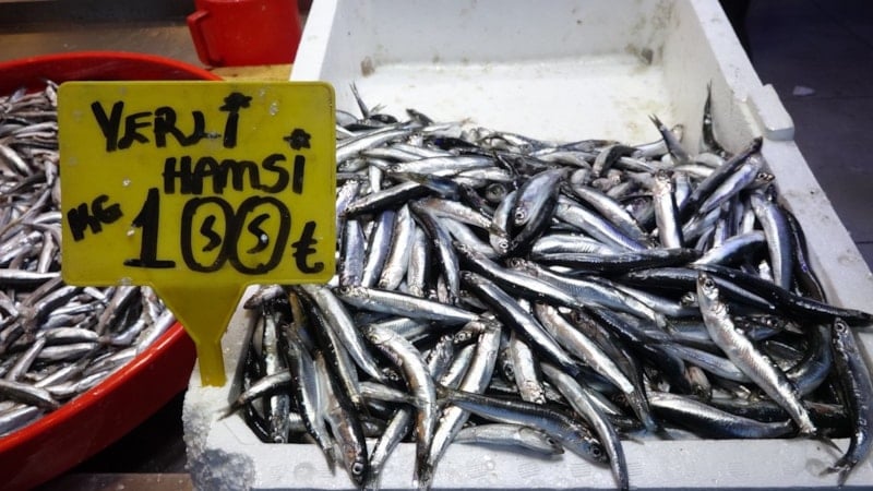 trabzonda ramazan baliga ilgiyi azaltti 7 ETbenYVm