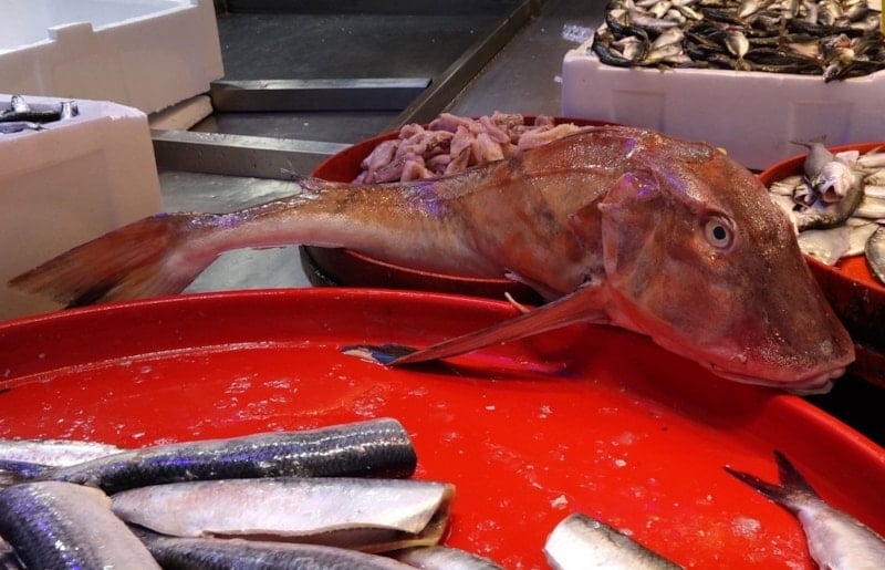 trabzonda ramazan baliga ilgiyi azaltti 8