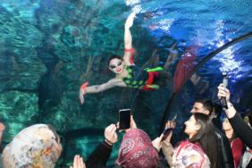 tunel-akvaryumda-su-balesi-gosterisi-14-subat-sevgililer-gunune-heyecan-katti-FK9PND8I.jpg