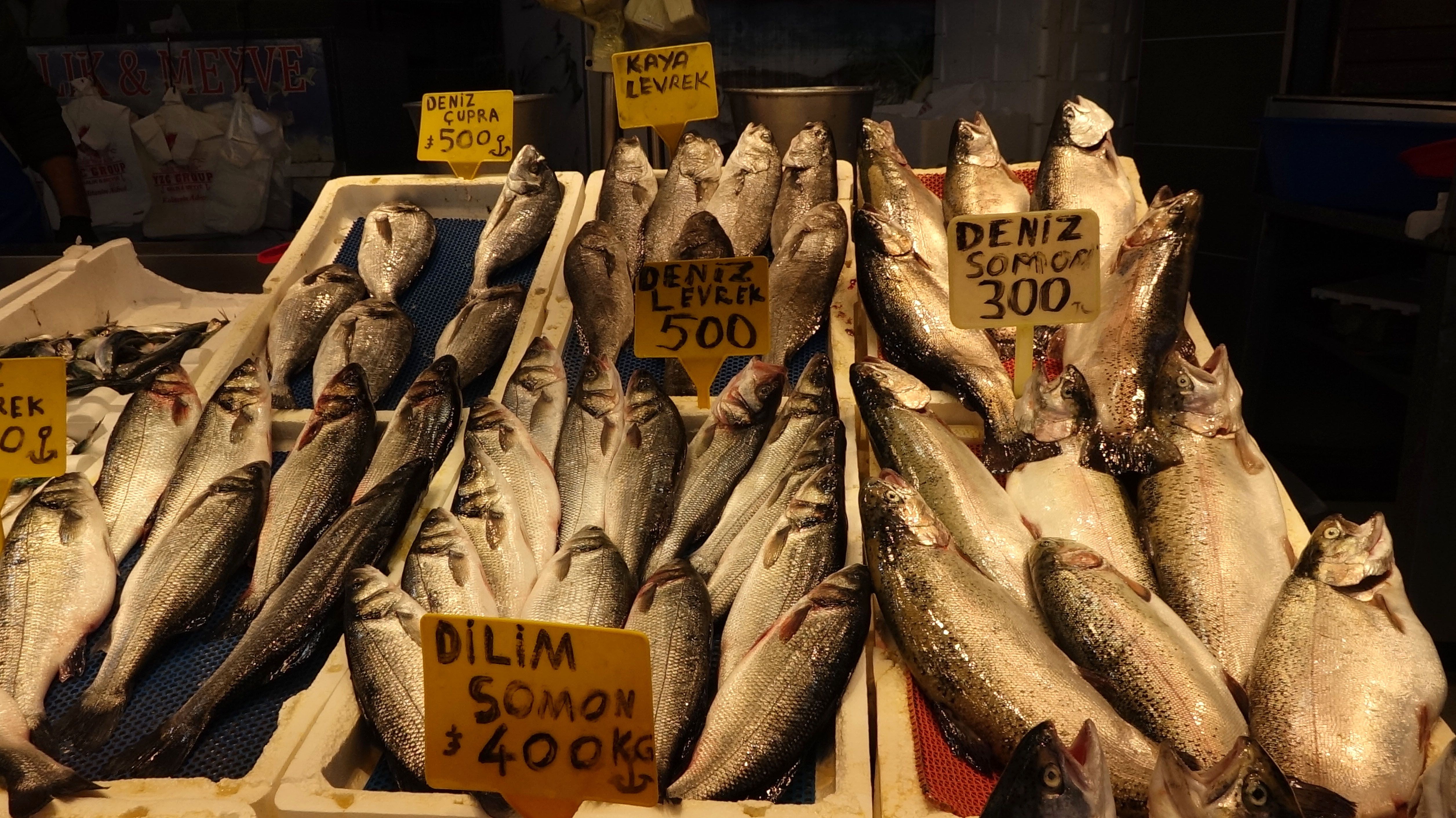 denizlerde av yasagi oncesi son gunler hamsinin yerini o aldi 0 pbiM6FKM