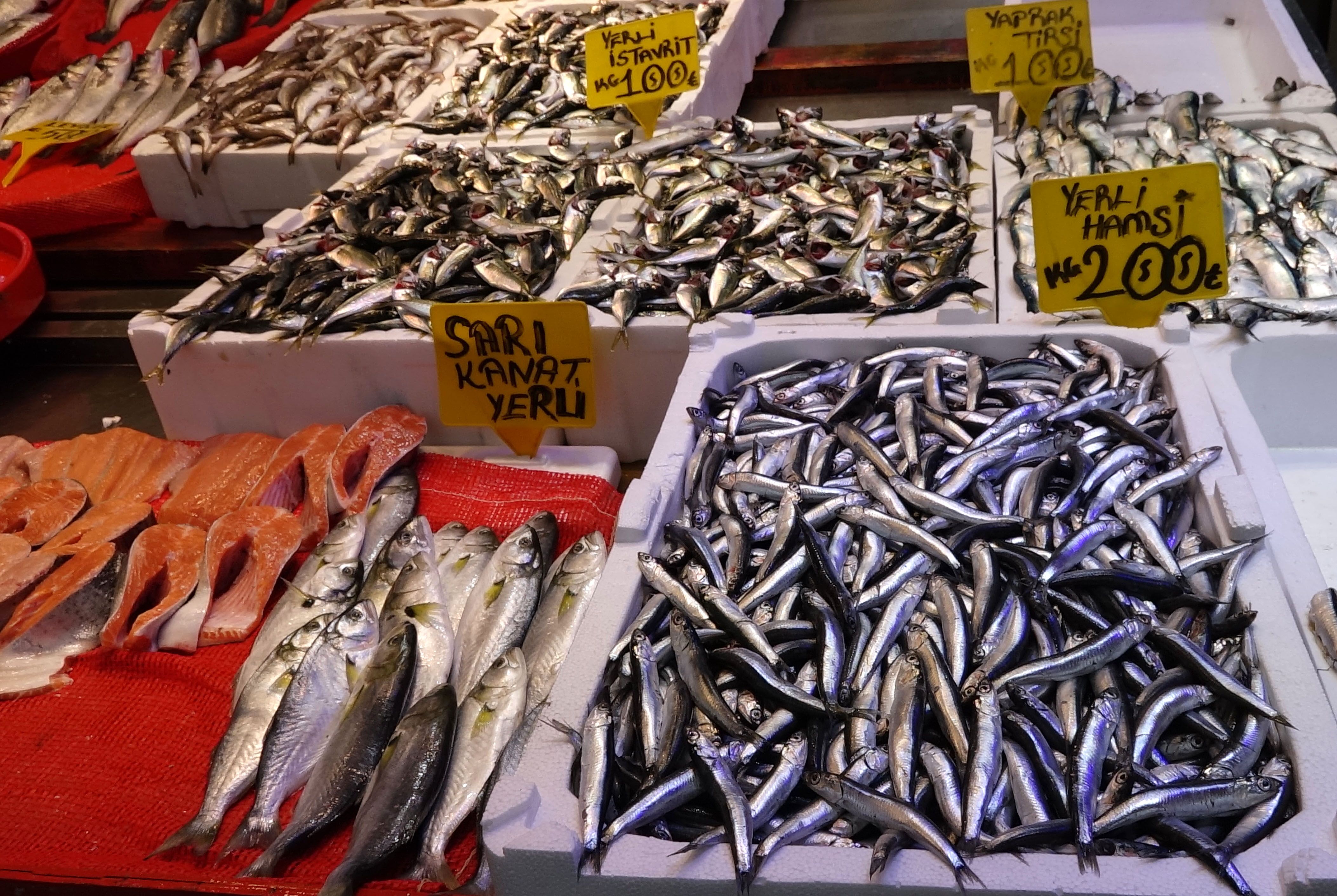 denizlerde av yasagi oncesi son gunler hamsinin yerini o aldi 2 gMfJ5gqM