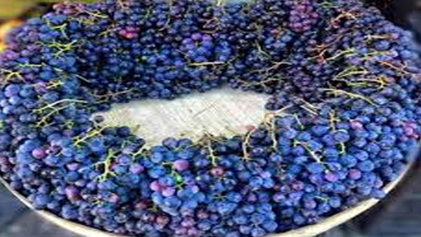 Karadeniz'in mor mucizesi: Pepeçura tatlısı evde nasıl yapılır? 1 karadenizin mor mucizesi pepecura tatlisi evde nasil yapilir 0 4E2VGLLL