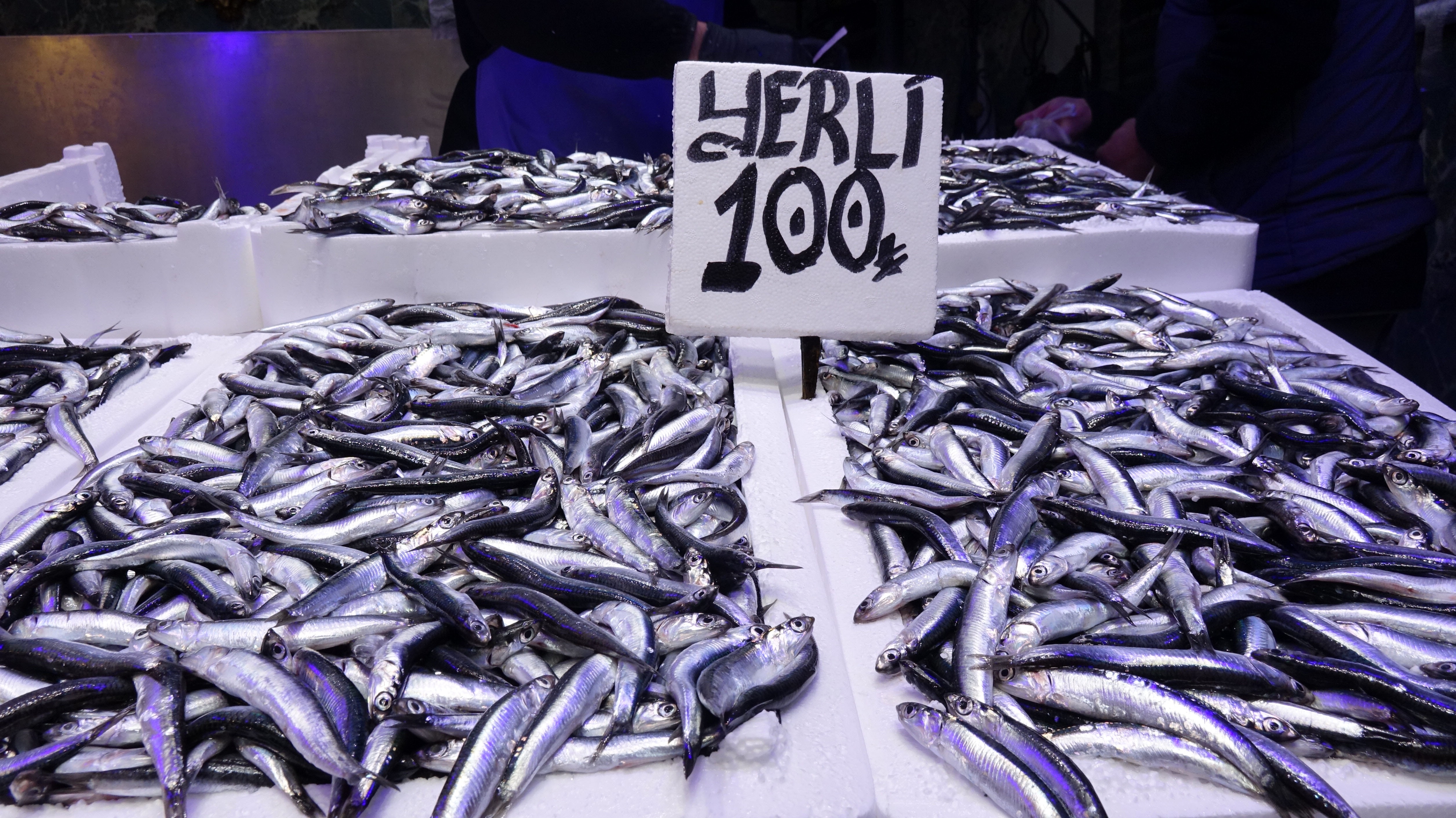 mart ayinda en cok bu iki balik tercih ediliyor tezgahlarda kuyruk olustu 1 Ay5Uqvnu