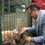 trabzon-ili-sahipsiz-hayvanlari-koruma-birligi-1