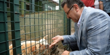 trabzon-ili-sahipsiz-hayvanlari-koruma-birligi-1