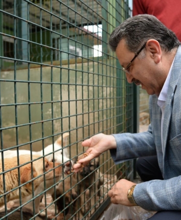 trabzon-ili-sahipsiz-hayvanlari-koruma-birligi-1