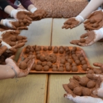 trabzonlu-lise-ogrencilerinin-hazirladigi-tohum-toplari-dogaya-nefes-olacak_9b170da1801b