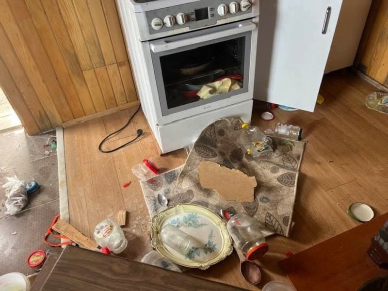 kis uykusundan cikan ayilar yaylalara indi evler hedefte endise buyuyor 0 p5ppcWYX