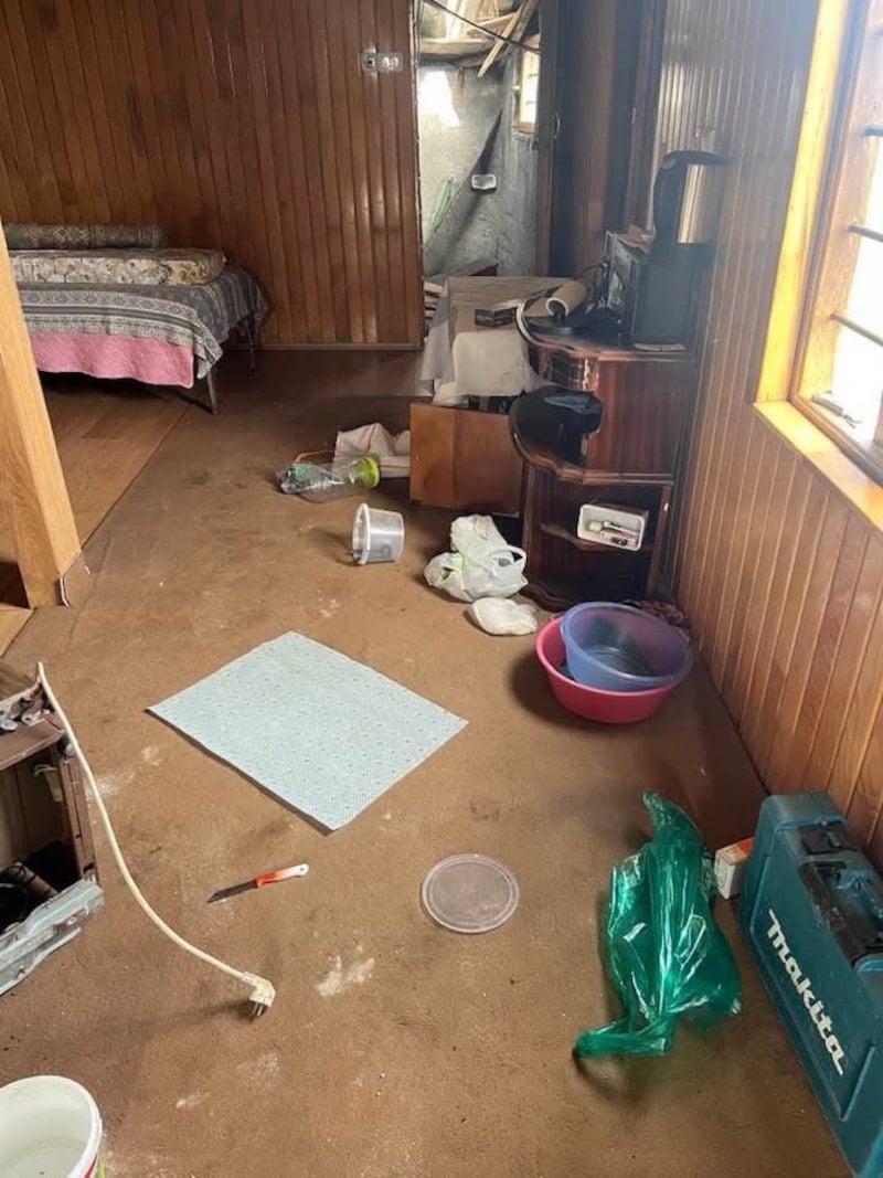 kis uykusundan cikan ayilar yaylalara indi evler hedefte endise buyuyor 2