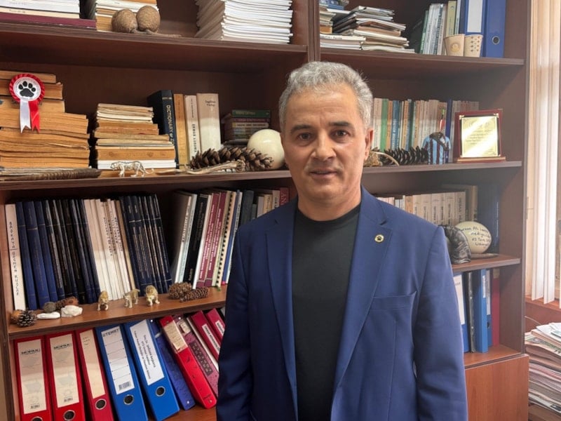 kis uykusundan cikan ayilar yaylalara indi evler hedefte endise buyuyor 4 BD7n53yi