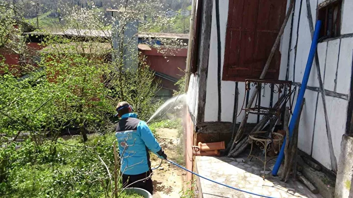 trabzonda 30 milyonluk butceyle kahverengi kokarcaya karsi buyuk mucadele basladi ciftciye uyari pes pese