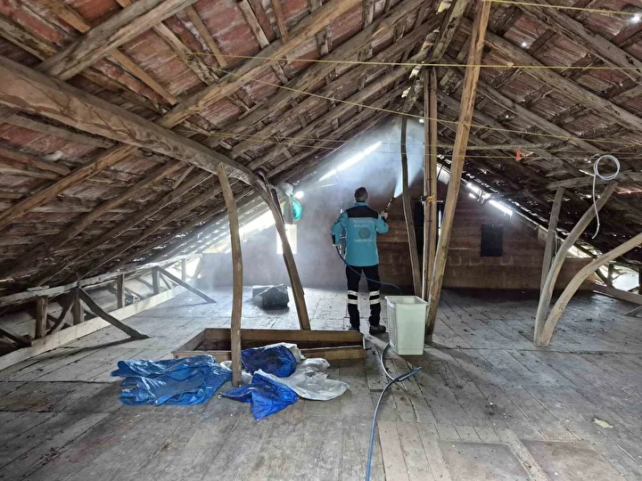 trabzonda 30 milyonluk butceyle kahverengi kokarcaya karsi buyuk mucadele basladi ciftciye uyari pes pese gg4wB6uy