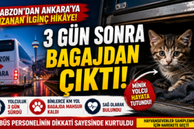 Trabzon’dan Ankara’ya Uzanan İlginç Hikâye! 3 Gün Sonra Bagajdan Çıktı